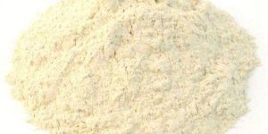 Shatavari Yellow Powder