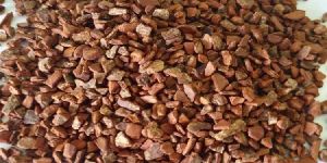 TBC Cinnamon Seeds