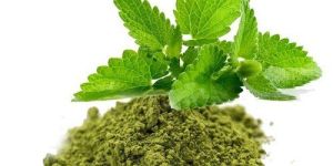 Tulsi Leaves Powder