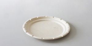 12 Inch Plain Sugarcane Bagasse Plate