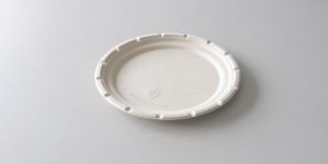 7 Inch Sugarcane Bagasse Plate