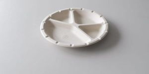 12inch 4cp Sugarcane Bagasse Plate