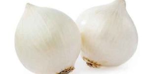 Fresh White Onion