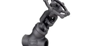 Y Type Forged Steel Globe Valve