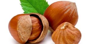 Hazelnuts