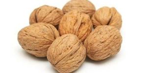 Walnut Shell Kashmir