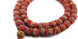Rudraksha & Valvet Kanth Mala