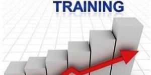 Internal Auditor Training Services