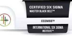 Six Sigma Master Black Belt Training Services