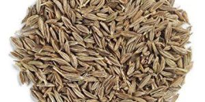 Cumin Seeds