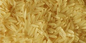 PR11 Golden Sella Rice