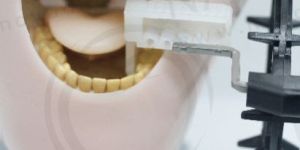 Radiology X-ray training dental phantom head manikin