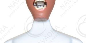 iTorso Dental Phantom Head Torso Manikin