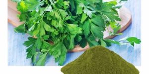 Parsley Extract
