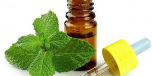 Peppermint Extract