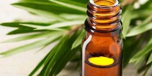 Tea Tree Essential Oil
