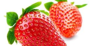 Fresh Strawberry
