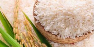 1121 Non Basmati Rice