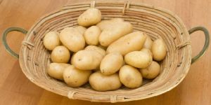 Fresh Potato