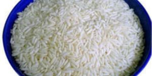 Short Grain Non Basmati Rice