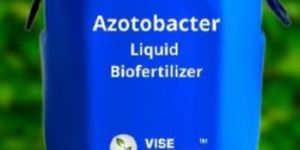 Azotobacter