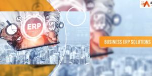 ERP Software Development