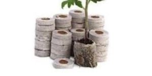 Cocopeat Growbags