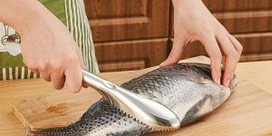 Fish Scale Scrapper Remover
