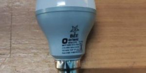 Orient LED Bulb