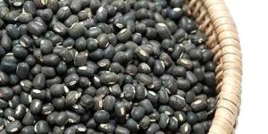 Whole Black Urad Dal