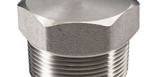 Stainless Steel Pipe Plug