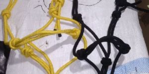 PP Rope Bridles Yellow and Black