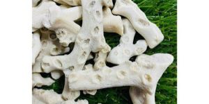 White Coral Rough Stone