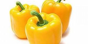 Fresh Yellow Capsicum