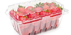 STRAWBERRY PKG BOX