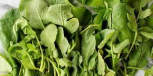 Fresh Radish Leaves