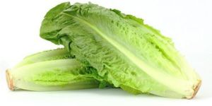 Fresh Romaine Lettuce
