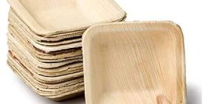 Eco Friendly Areca Leaf Plates