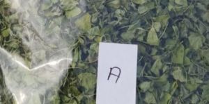 Dried Fenugreek Leaves