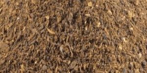 Neem Doc Organic Fertilizer