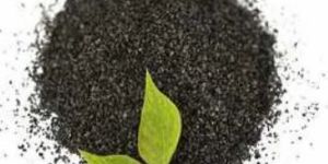 Seaweed Flakes Powder