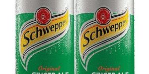 Ginger Ale Cold Drink