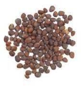 Knol Khol Seeds
