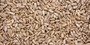 Hulled Sunflower Seed Kernels