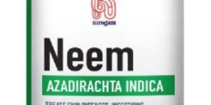 Neem Capsules