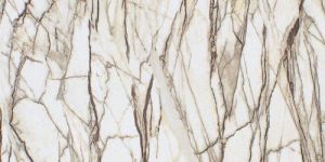PVC Marble Sheet