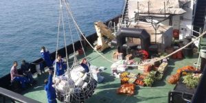 Vessel Husbandry Services