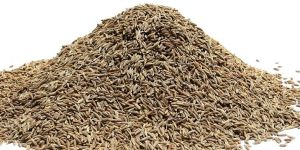Cumin Seeds