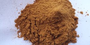 Roasted Chicory Powder