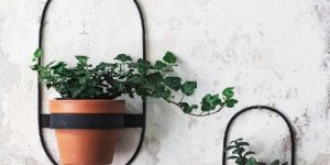 Wall Mount Plant Stand Set
